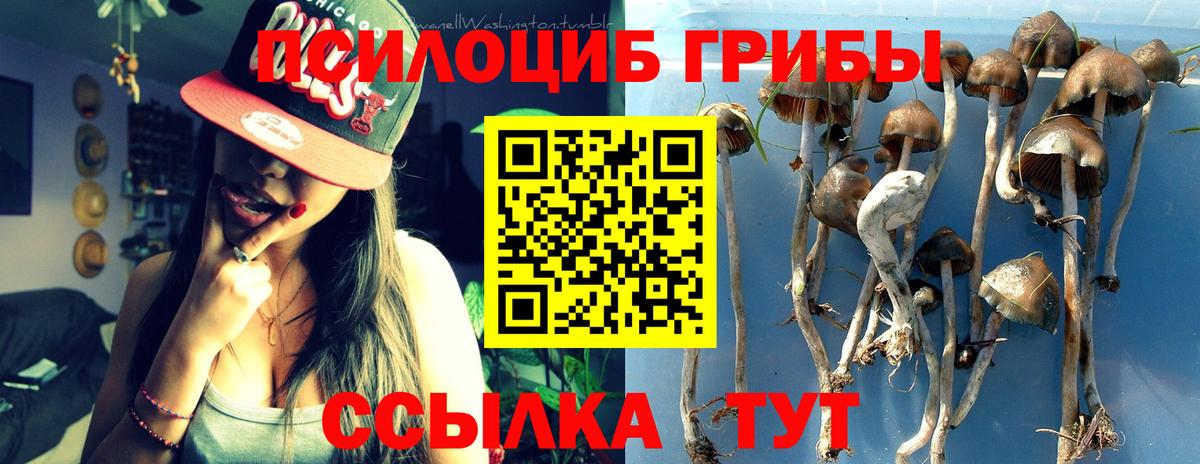 Псилоцибиновые грибы ЛСД Светлоград